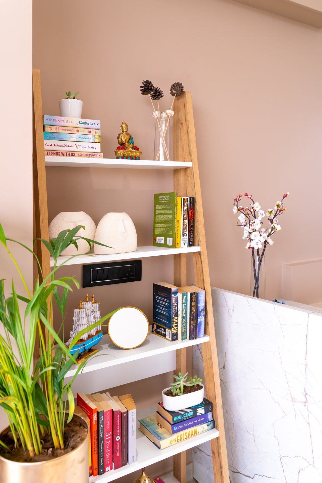 Books, tooth models and plants on clinic shelving